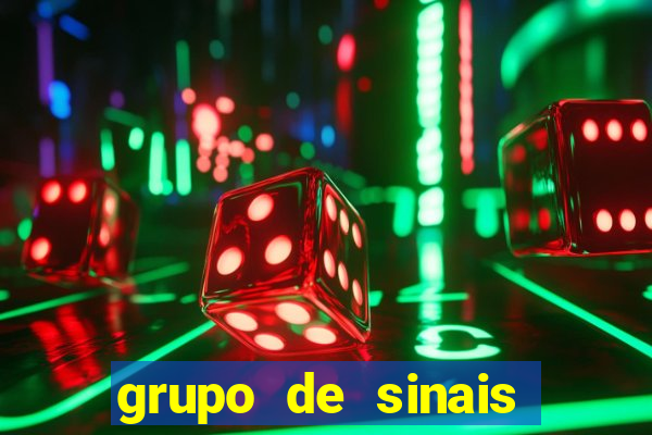 grupo de sinais fortune rabbit